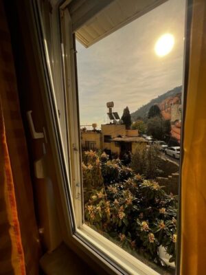 Real Estate in Alanya Center