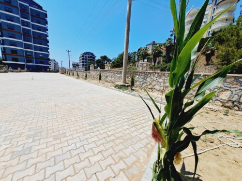 Real Estate in Avsallar