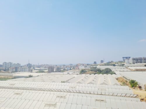 Real Estate in Payallar