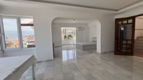 Real Estate in Merkez