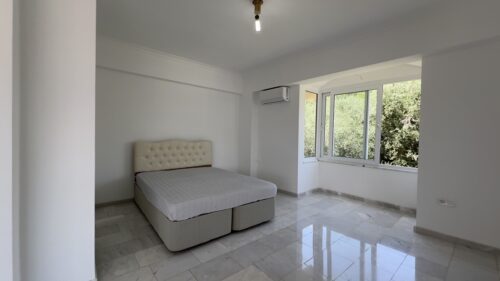 Real Estate in Merkez
