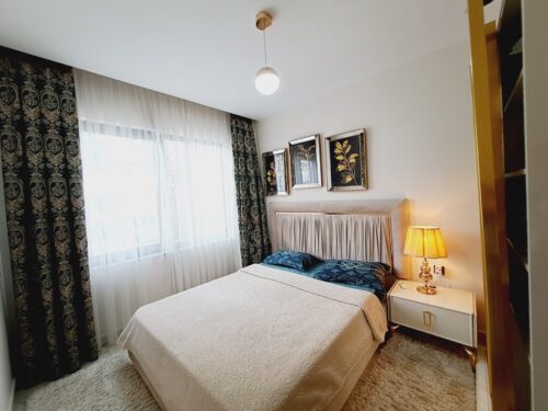 Real Estate in Merkez