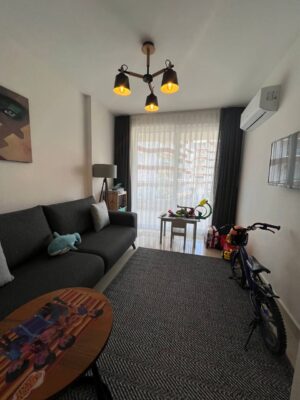 Real Estate in Demirtas